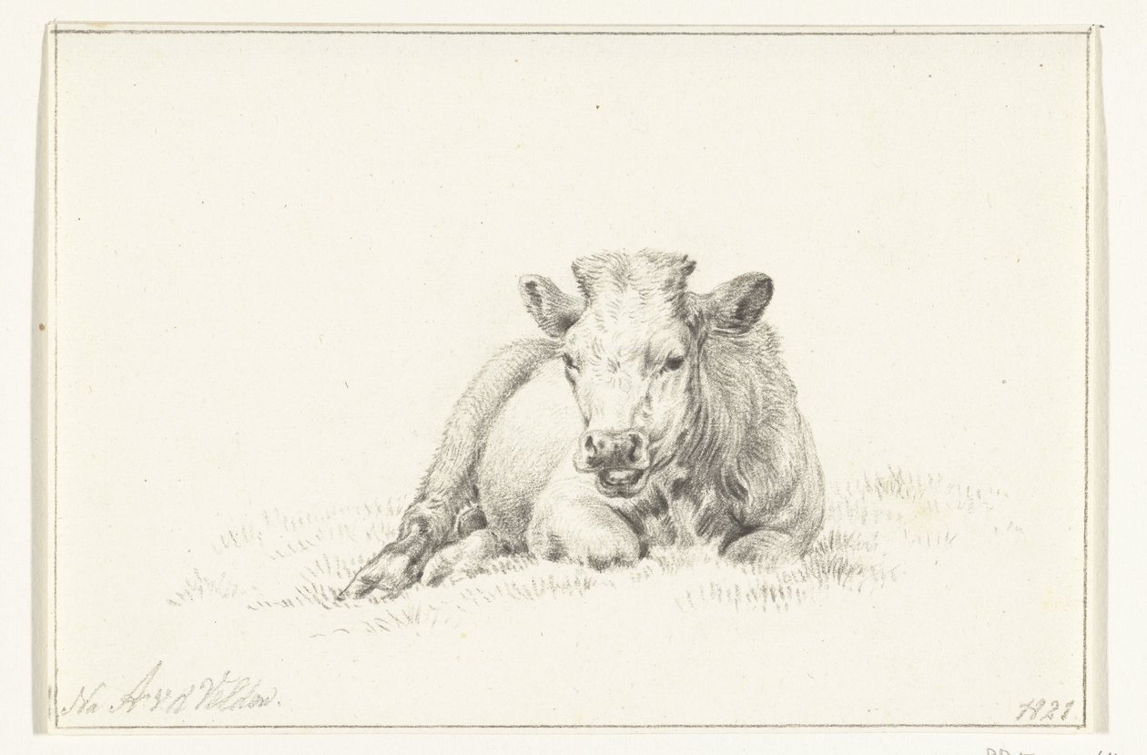 Lying Cow, Front View by Jean Bernard
