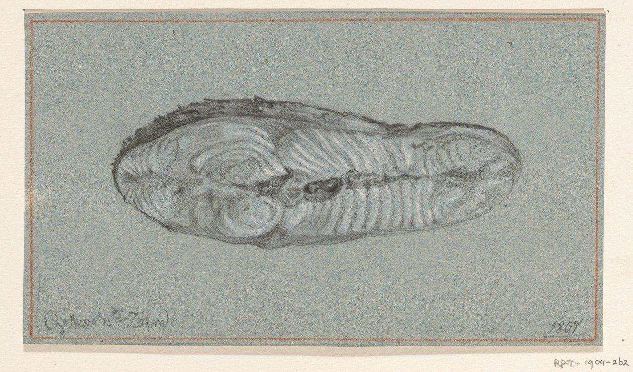 Piece of Cooked Salmon by Jean Bernard