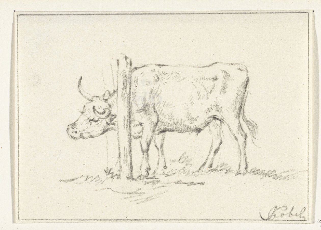 Standing Cow with Its Head between Posts by Jean Bernard