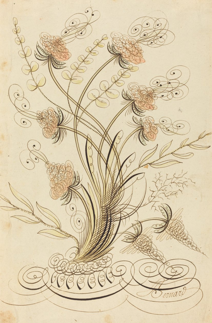 Calligraphic Flowers by Jean Joseph Bernard called Bernard de Paris