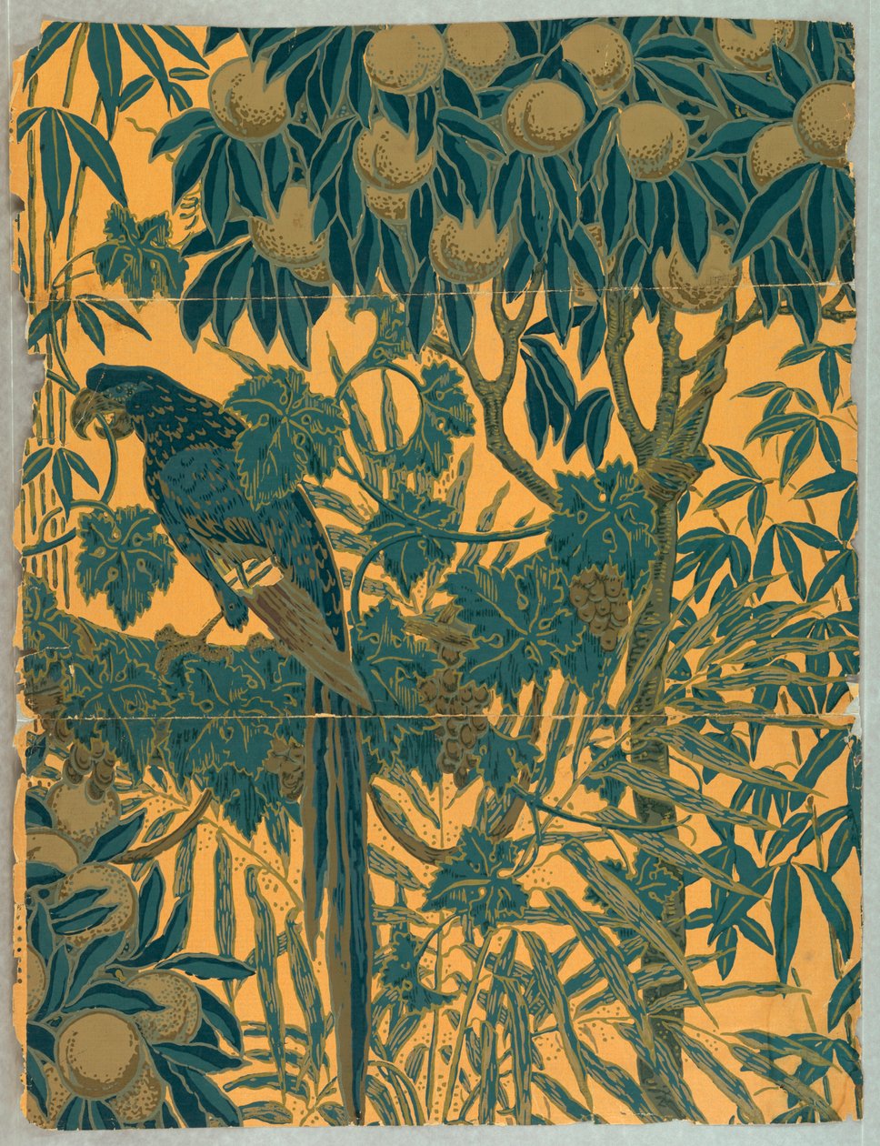 Sidewall, Macaw, 1908 by Jeffrey