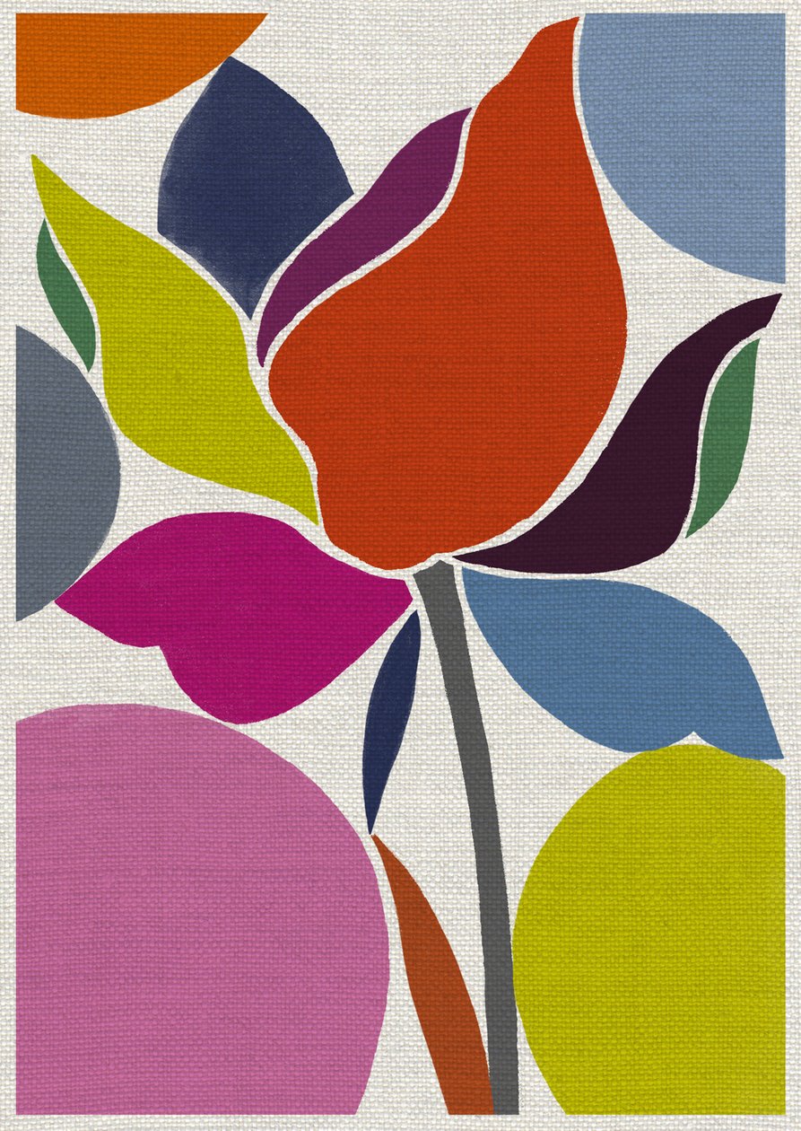 Printed Tulip by Jenny Frean