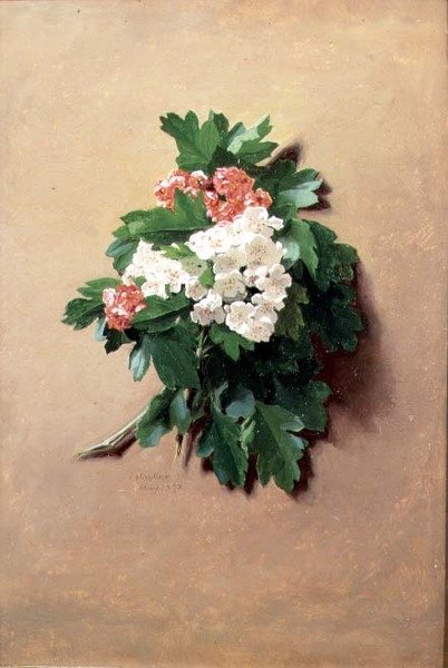 May (from a series of twelve) by Jessica Hayllar