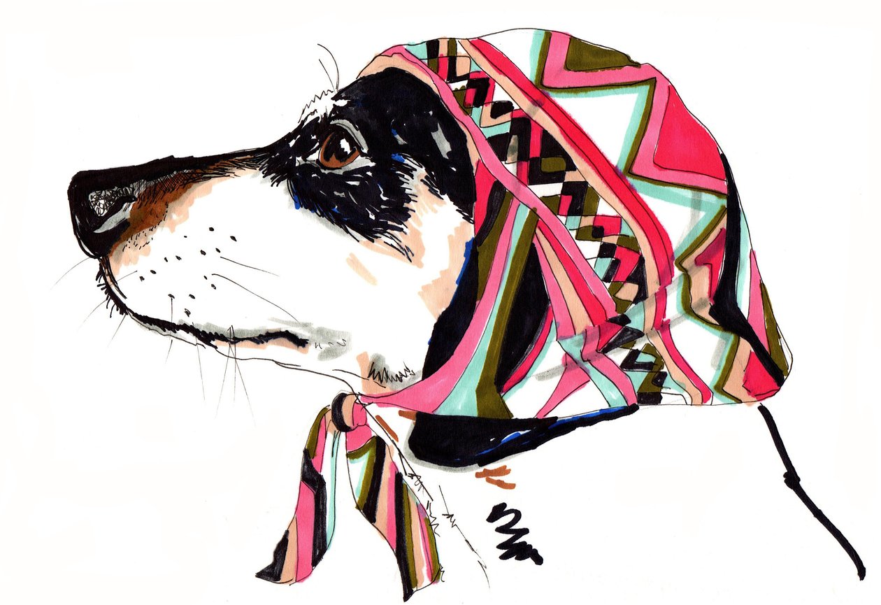 Pooch In Pucci by Jo Chambers