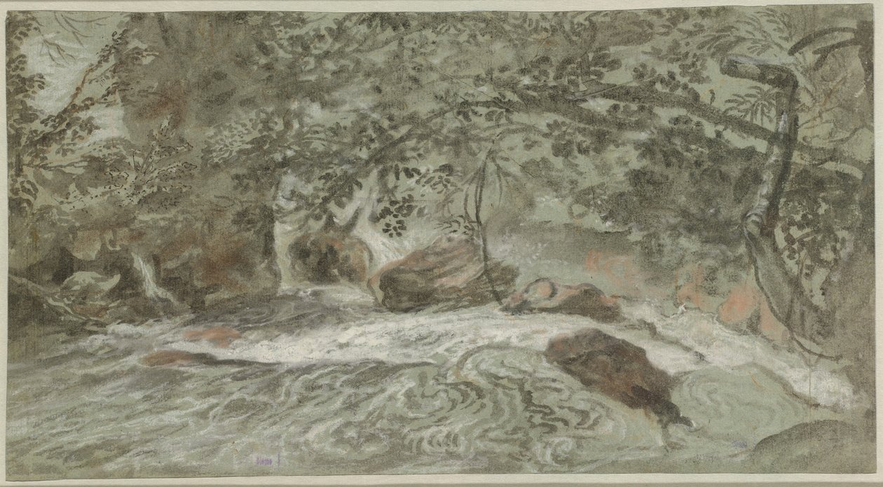 Rapids with Overhanging Branches by Joachim Franz Beich
