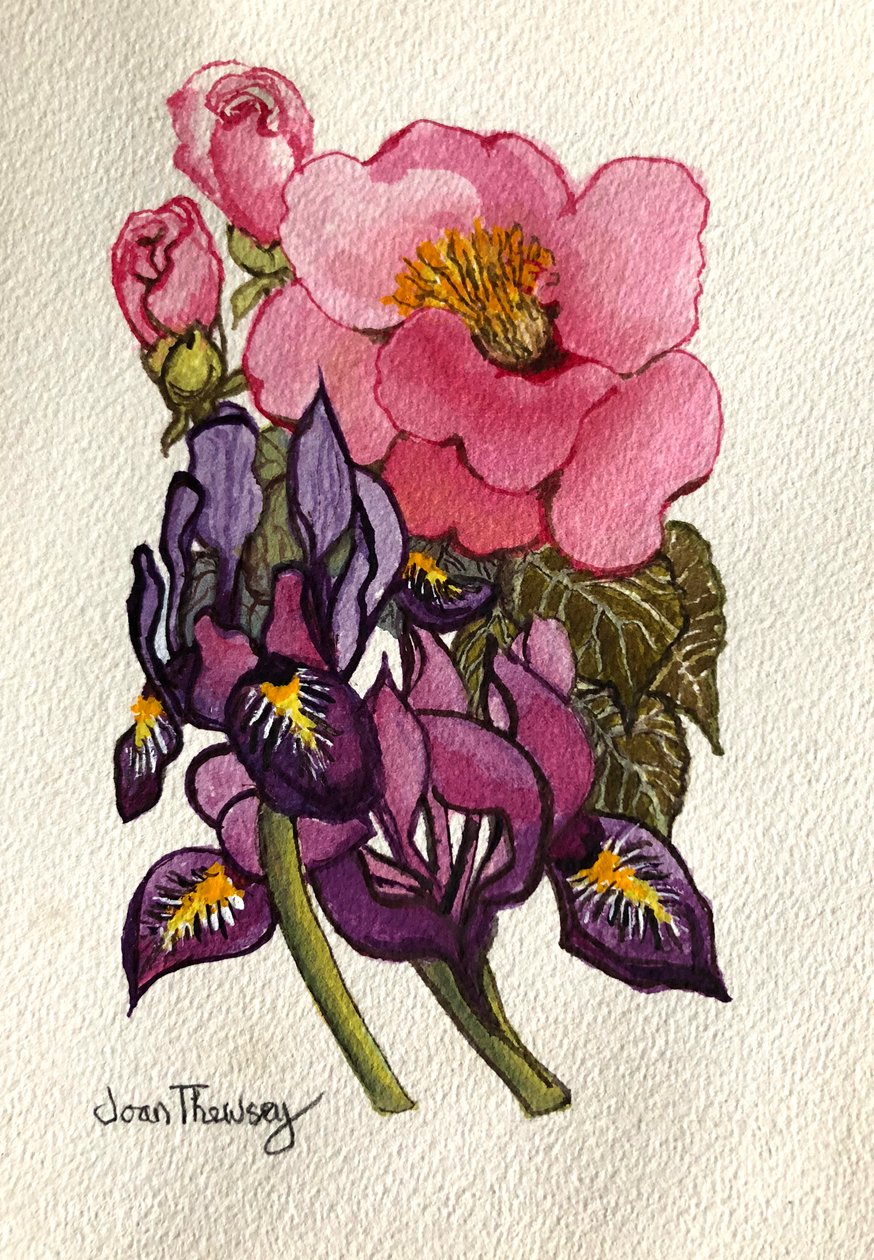 Camellia and Dutch Iris by Joan Thewsey