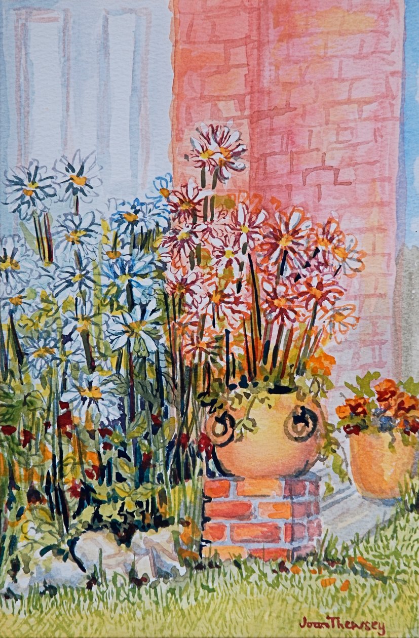 Marguerites in the Cottage Garden by Joan Thewsey