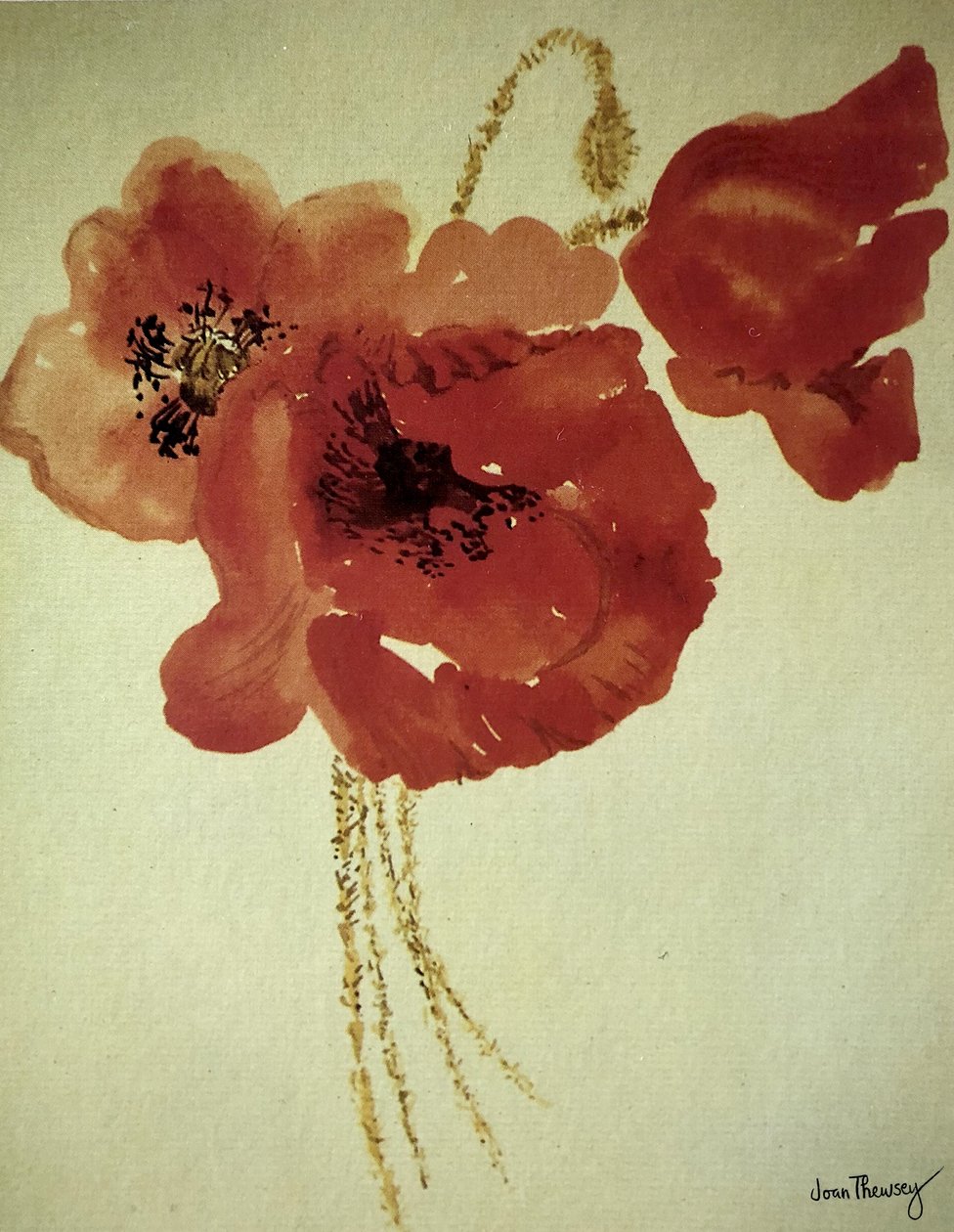 Poppies from the Cornfield by Joan Thewsey