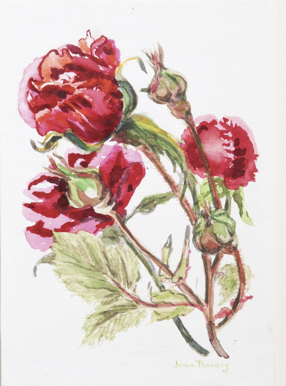Red Rose Spray, 2001 by Joan Thewsey