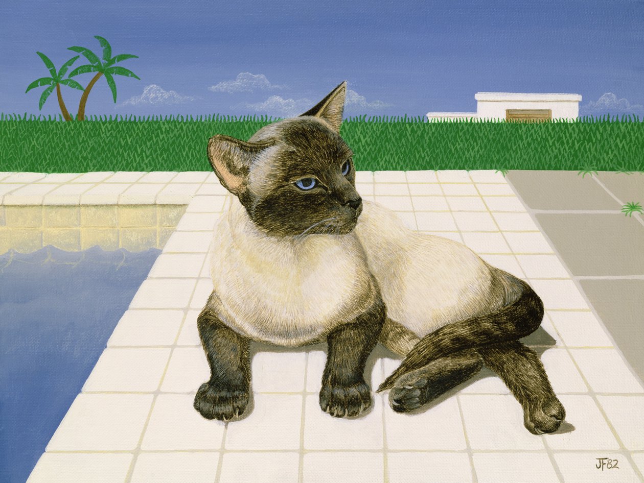 Siamese Cat by a Swimming Pool by Joan Freestone
