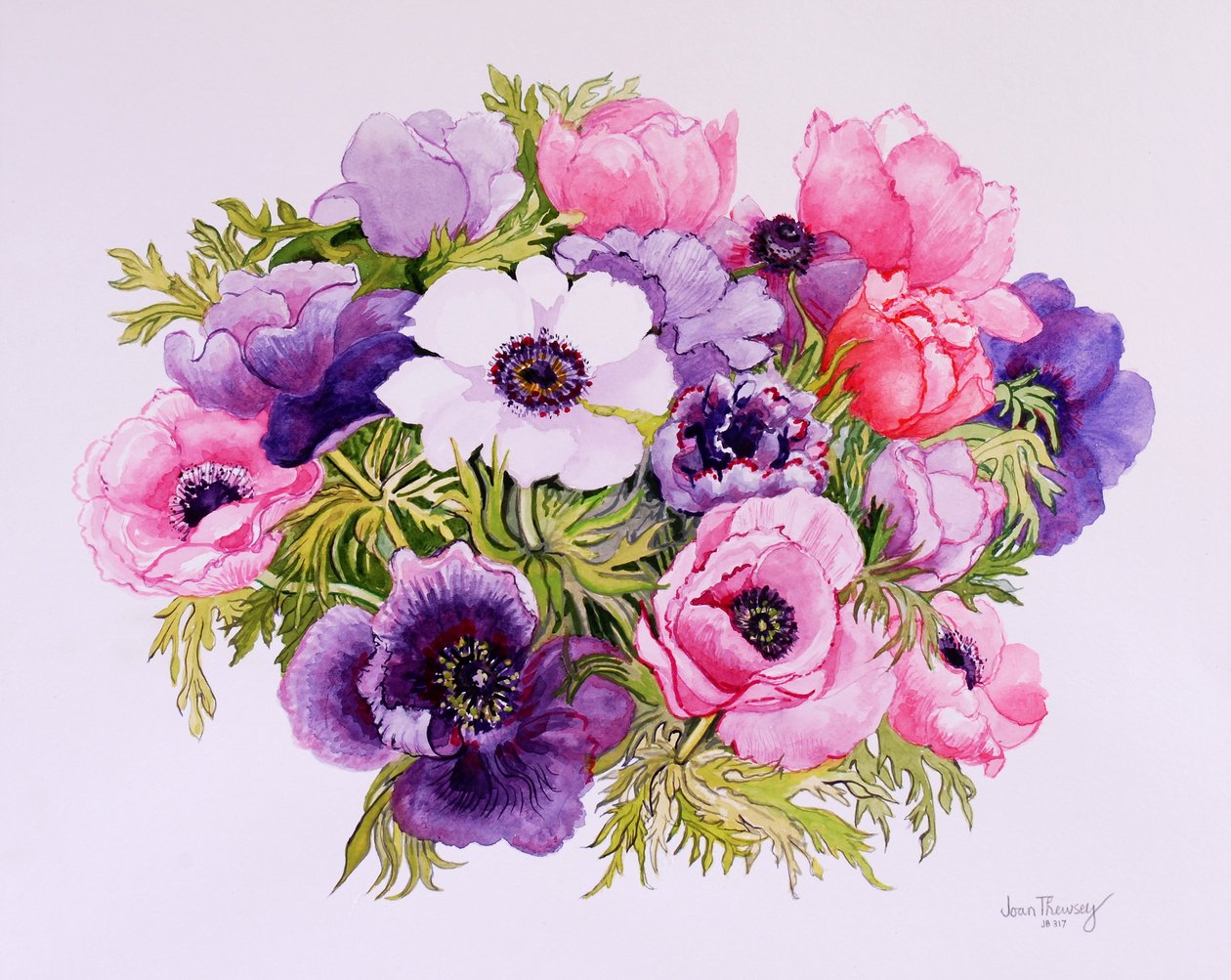 Anemones by Joan Thewsey
