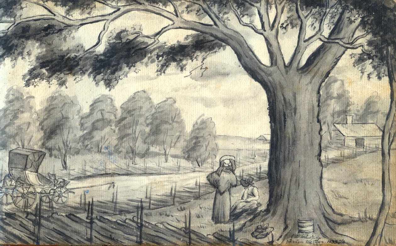A Pasture on the Way to Tun by Johan Gustaf Thun