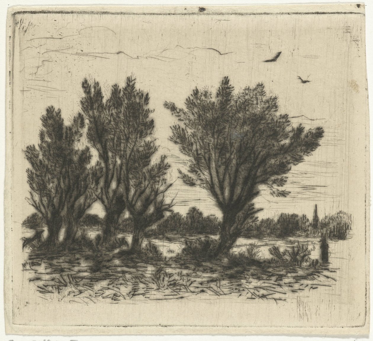 Row of Willows by Johan Frederik Croockewit
