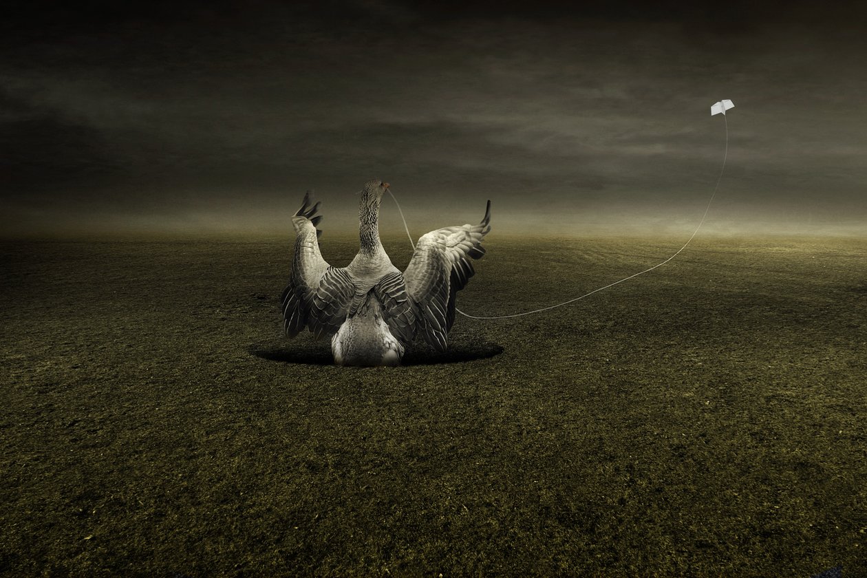 Help on the way by Johan Lilja