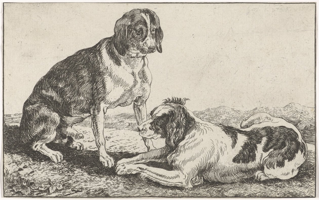 Two Dogs by Johan le Ducq