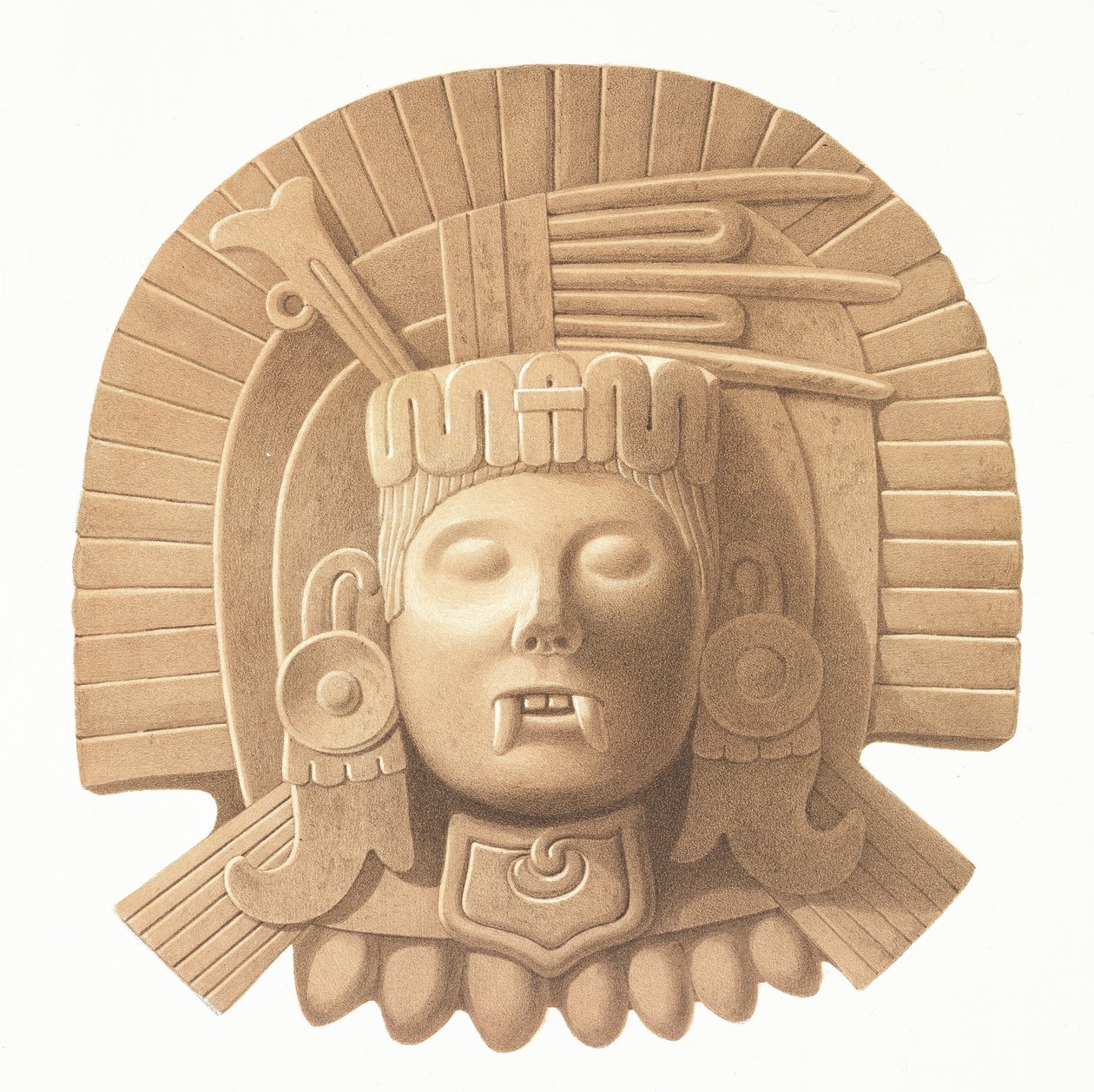 Plate from 