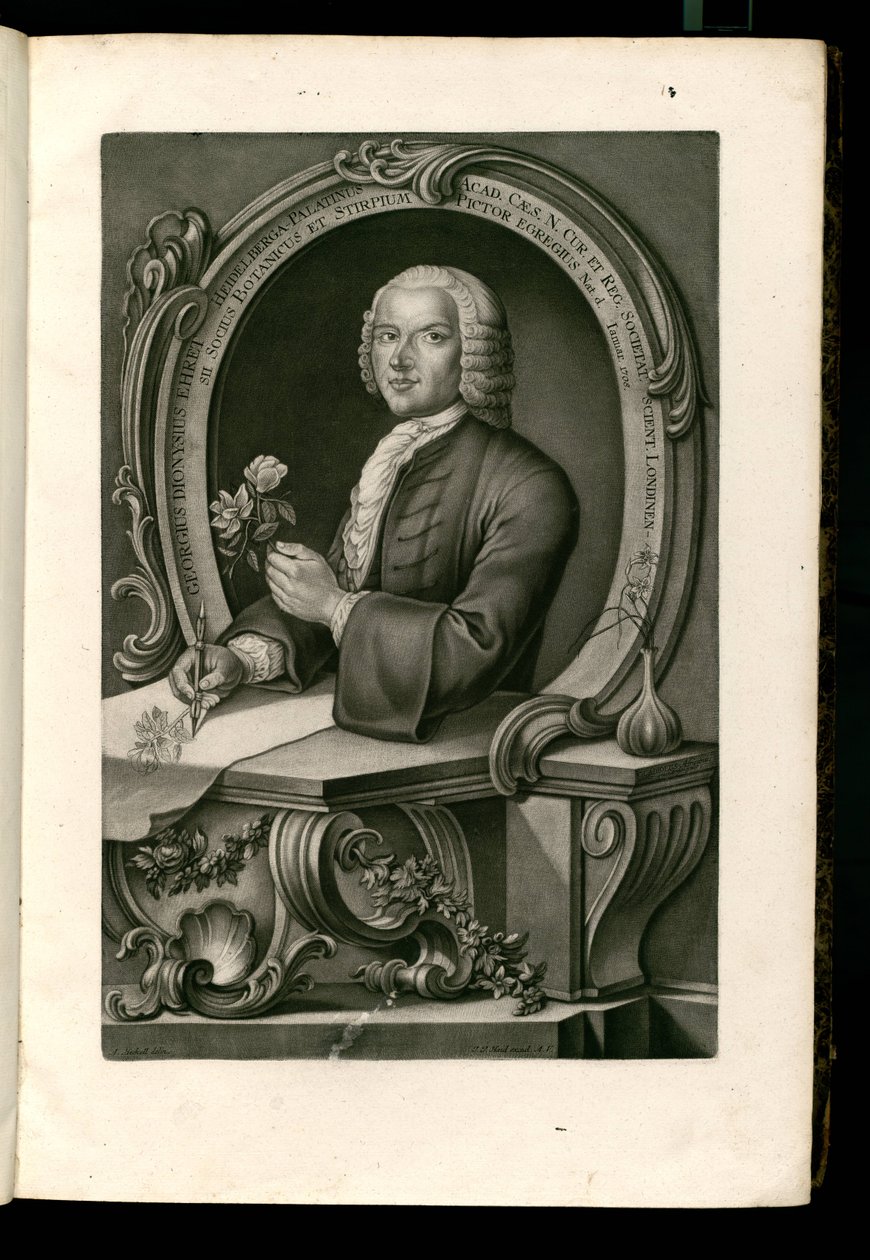 Georgius Dionysius Ehret by Johann Jakob Haid