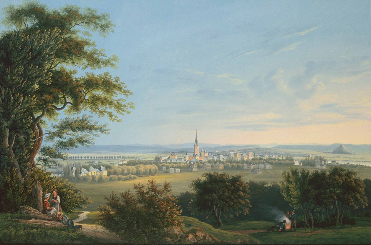 View of the City of Vevay and Its Surroundings by Johann Ludwig Bleuler