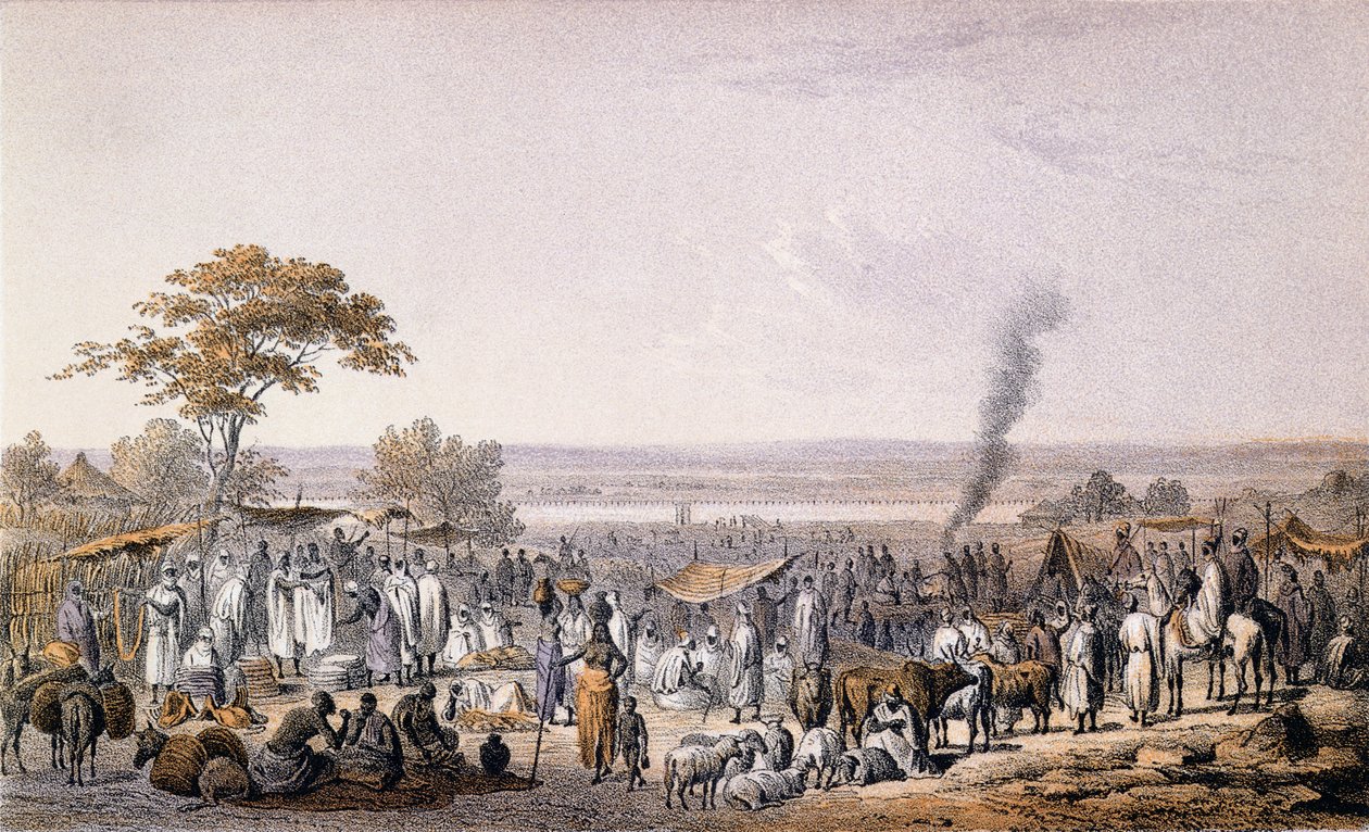 The Market in Sokoto in 1853, from 