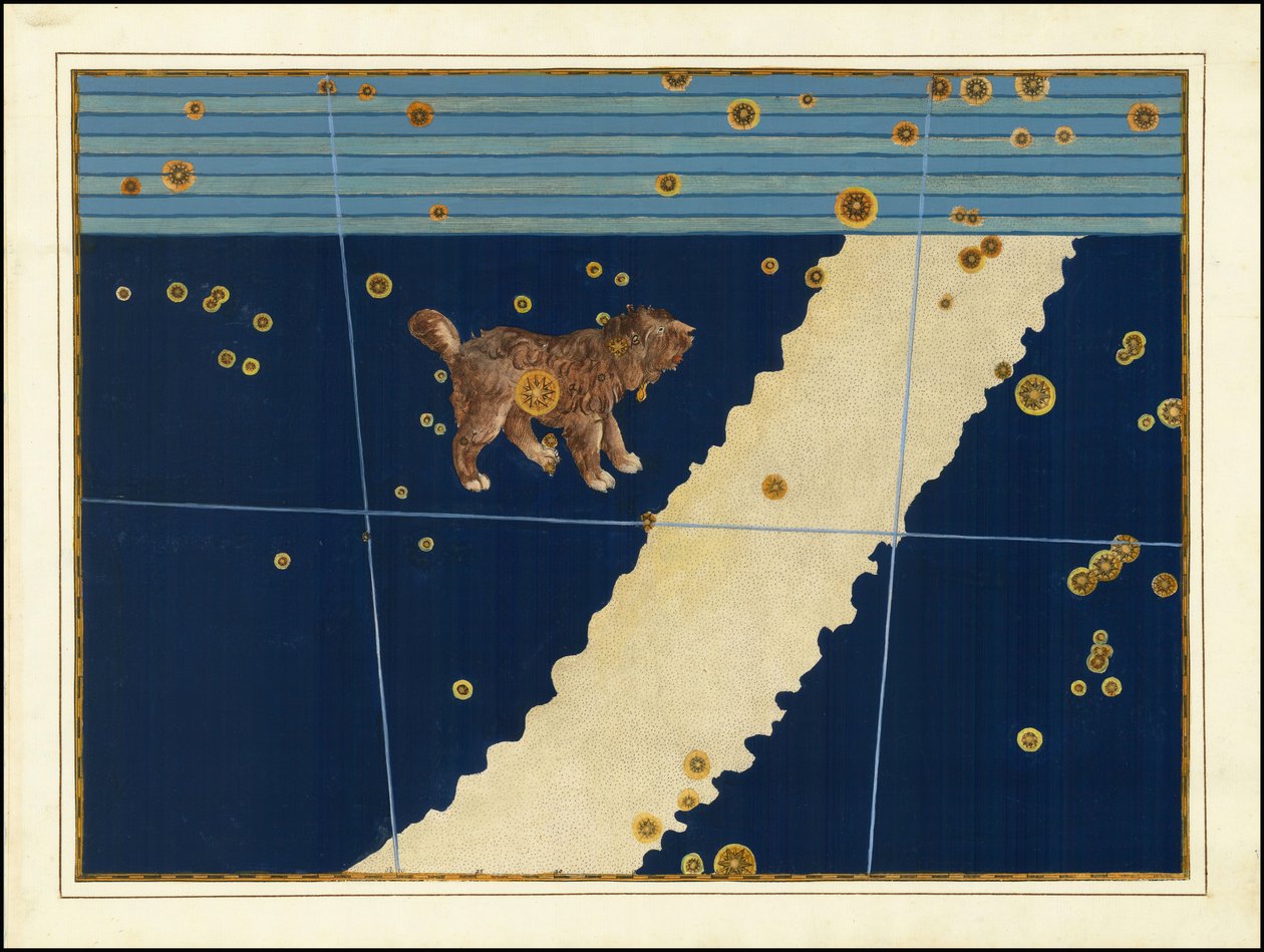 Canis Minor by Johann Bayer