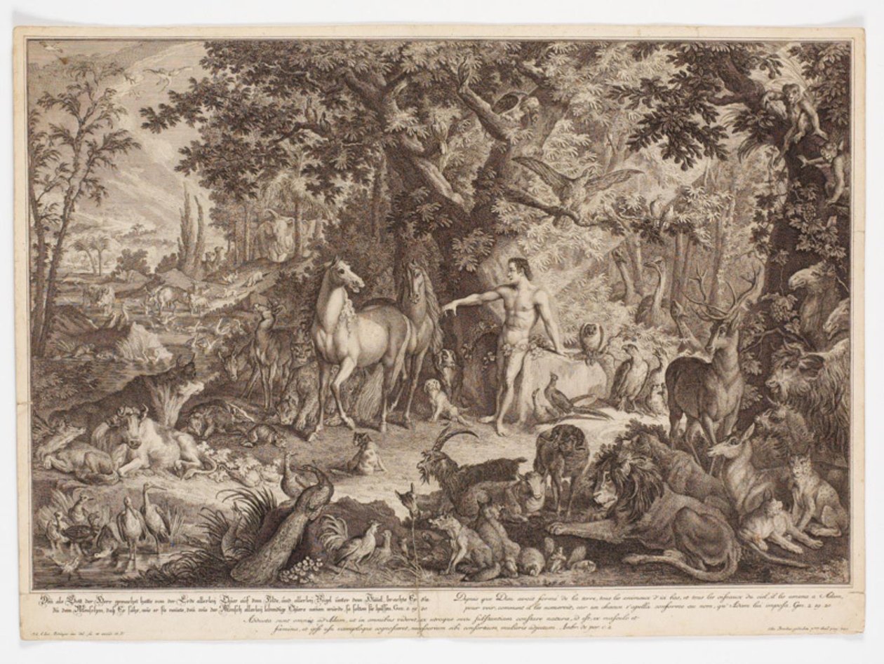 Adam Naming the Animals by Johann Elias Ridinger