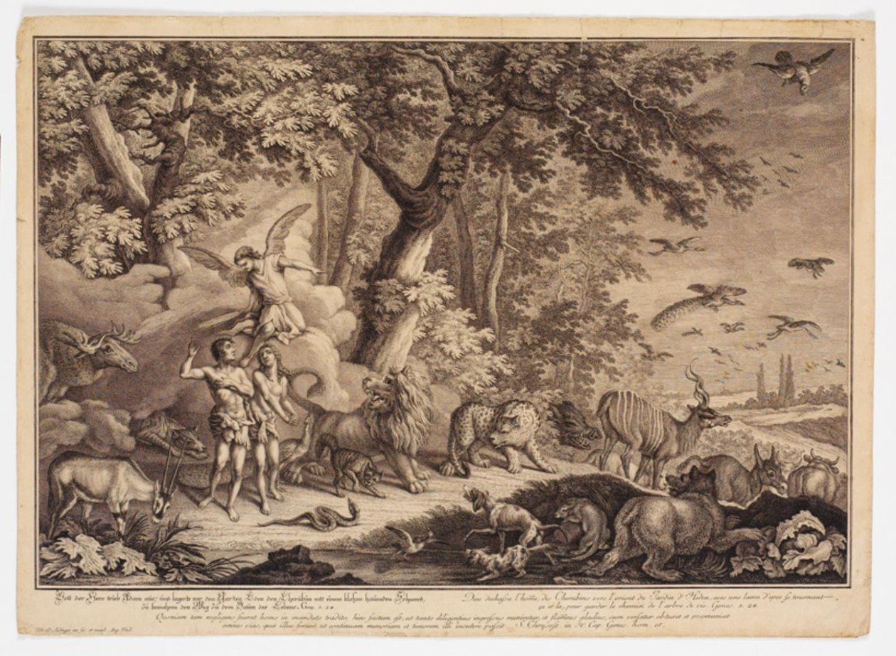 The Expulsion from Paradise by Johann Elias Ridinger