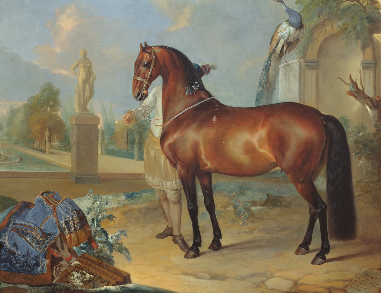 The Bay Horse 