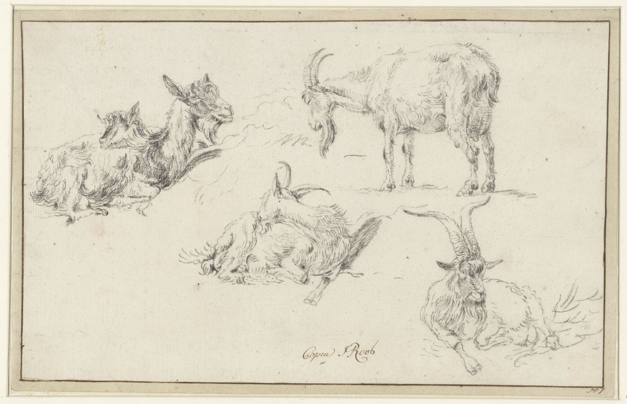 Studies of a Goat by Johann Heinrich Roos (possibly)