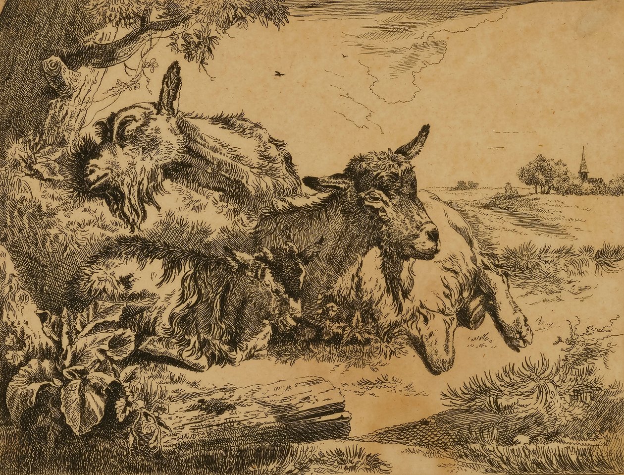 Two Goats and a Kid by Johann Heinrich Roos