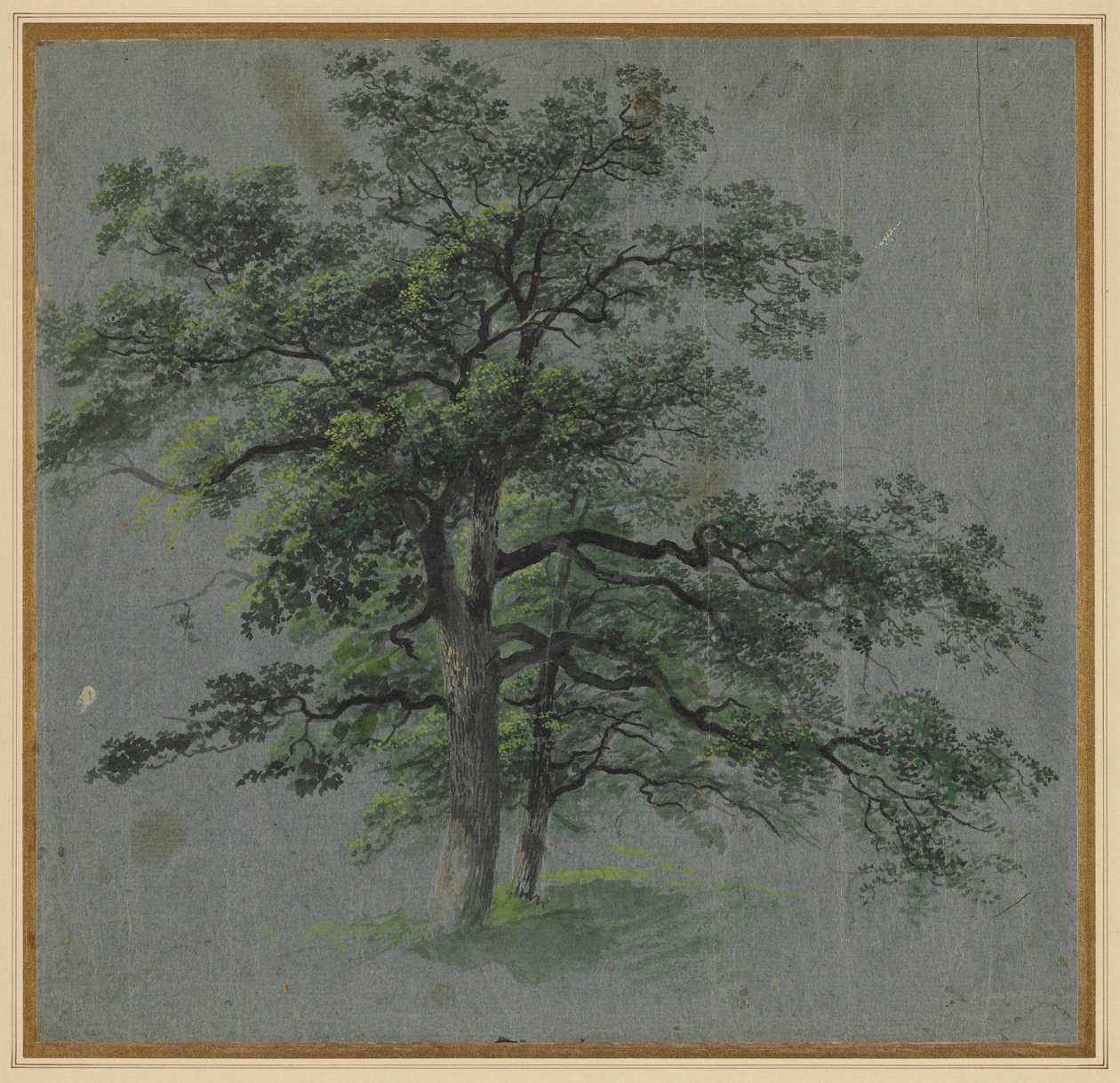 Two Trees by Johann Jacob Dorner