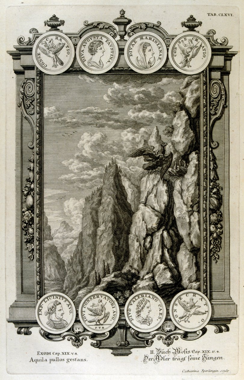 Zeus Symbolised as an Eagle by Johann Jakob Scheuchzer