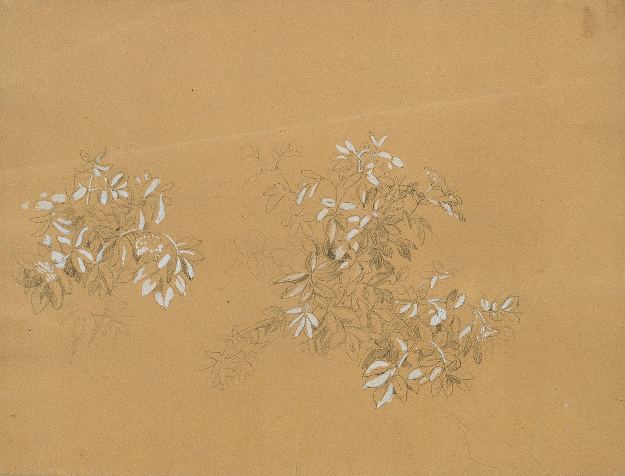 Bushes by Johann Peter Krafft
