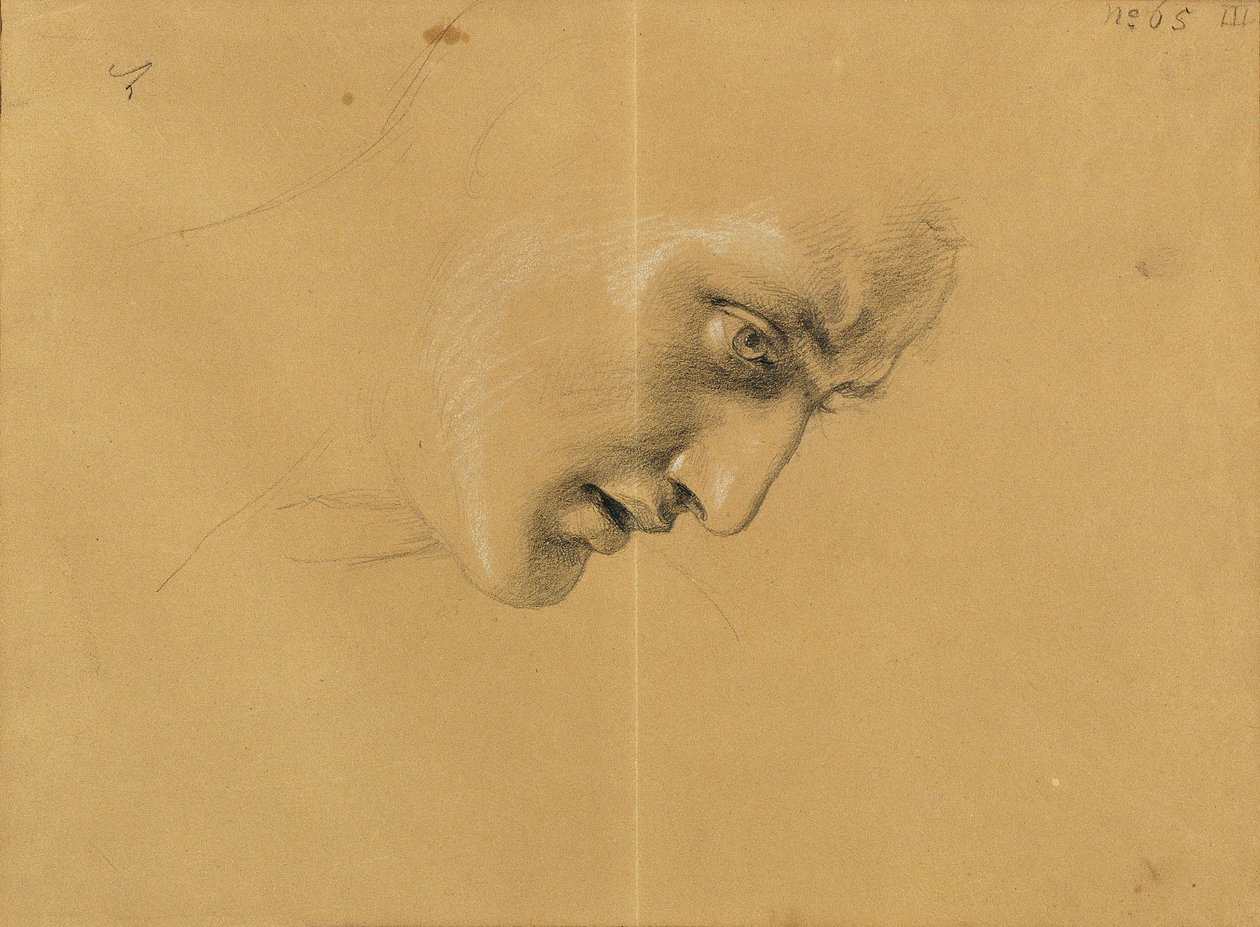 Head Study by Johann Peter Krafft