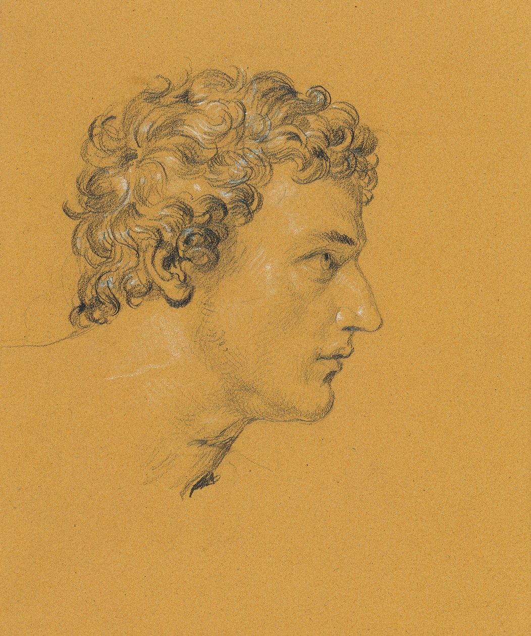 Study of a Head by Johann Peter Krafft
