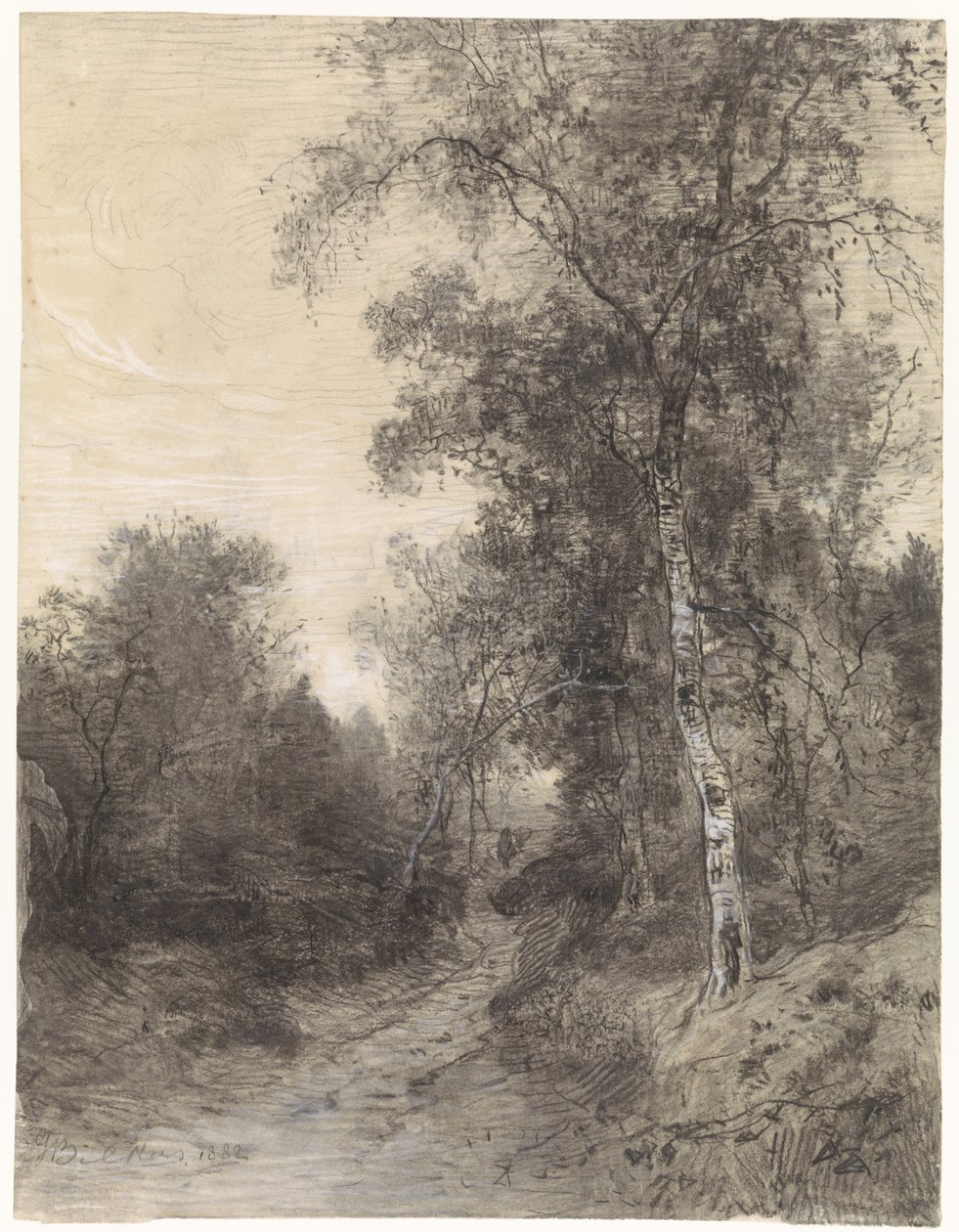 View in the Forest by Johannes Warnardus Bilders