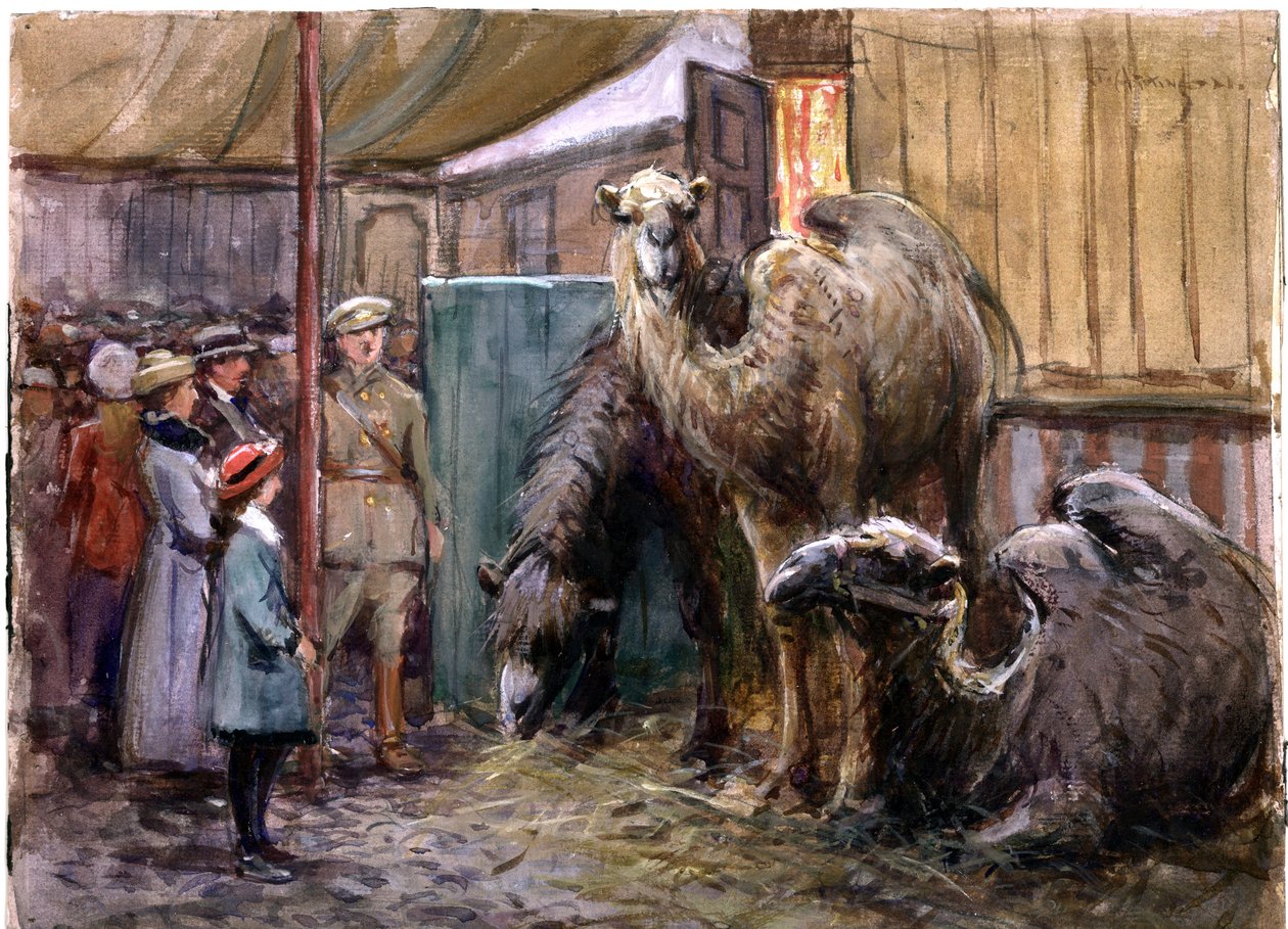 Bostock by John Atkinson