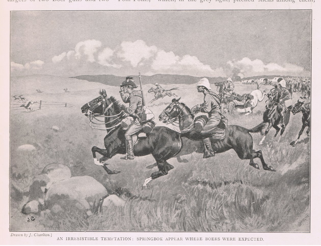 An irresistible temptation: Springbok appear where Boers were expected by John Charlton