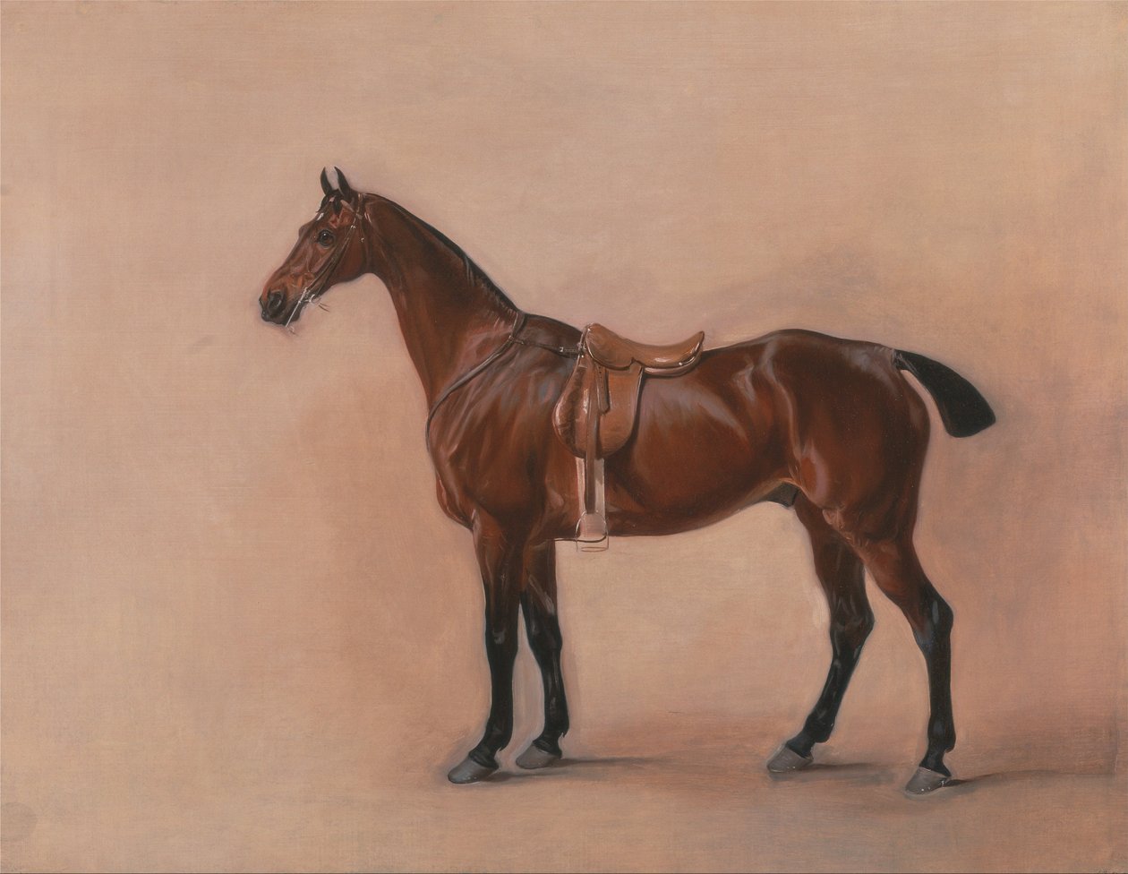 Study of a Saddled Bay Hunter by John E. Ferneley