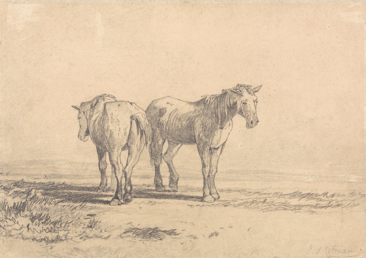 Two Old Horses Standing in a Field by John Sell Cotman