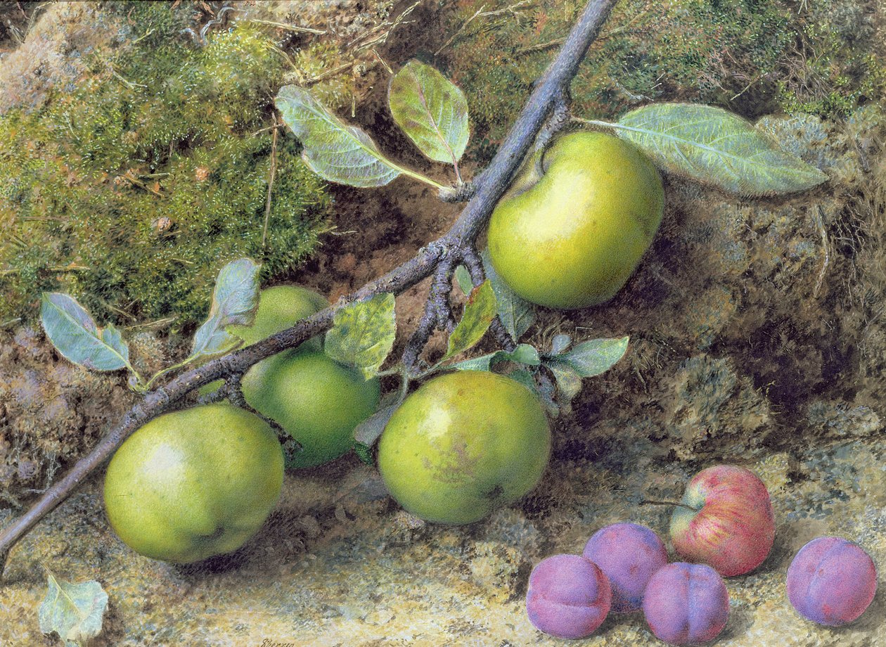 Apples and Plums on a Mossy Bank by John Sherrin