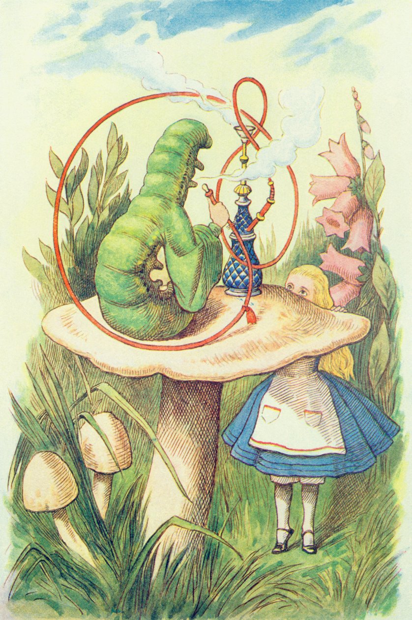 Alice Meets the Caterpillar, Illustration from 