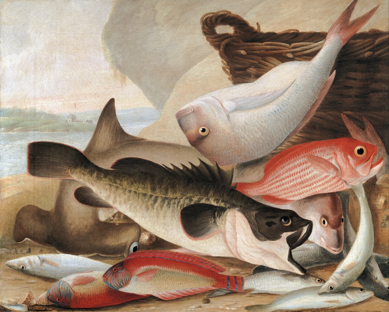 Fish Catch and Dawes Point, Sydney Harbour by John William Lewin