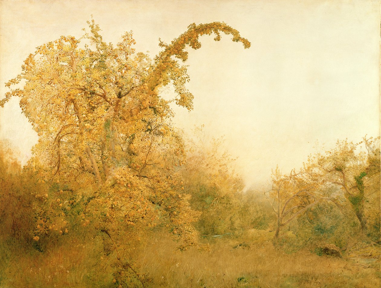 The Old Pear Tree by John William North