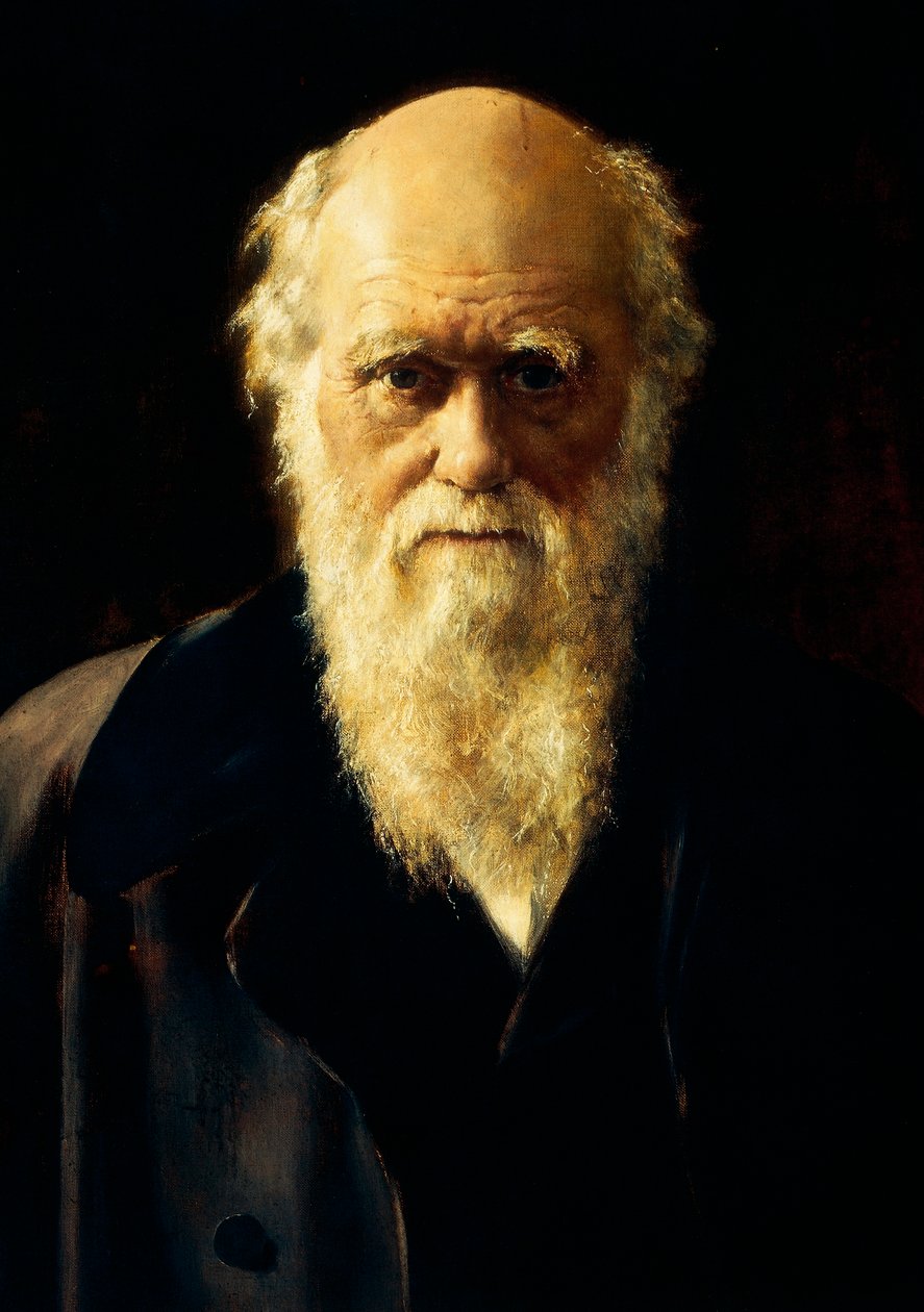 Portrait of Charles Darwin by John Collier