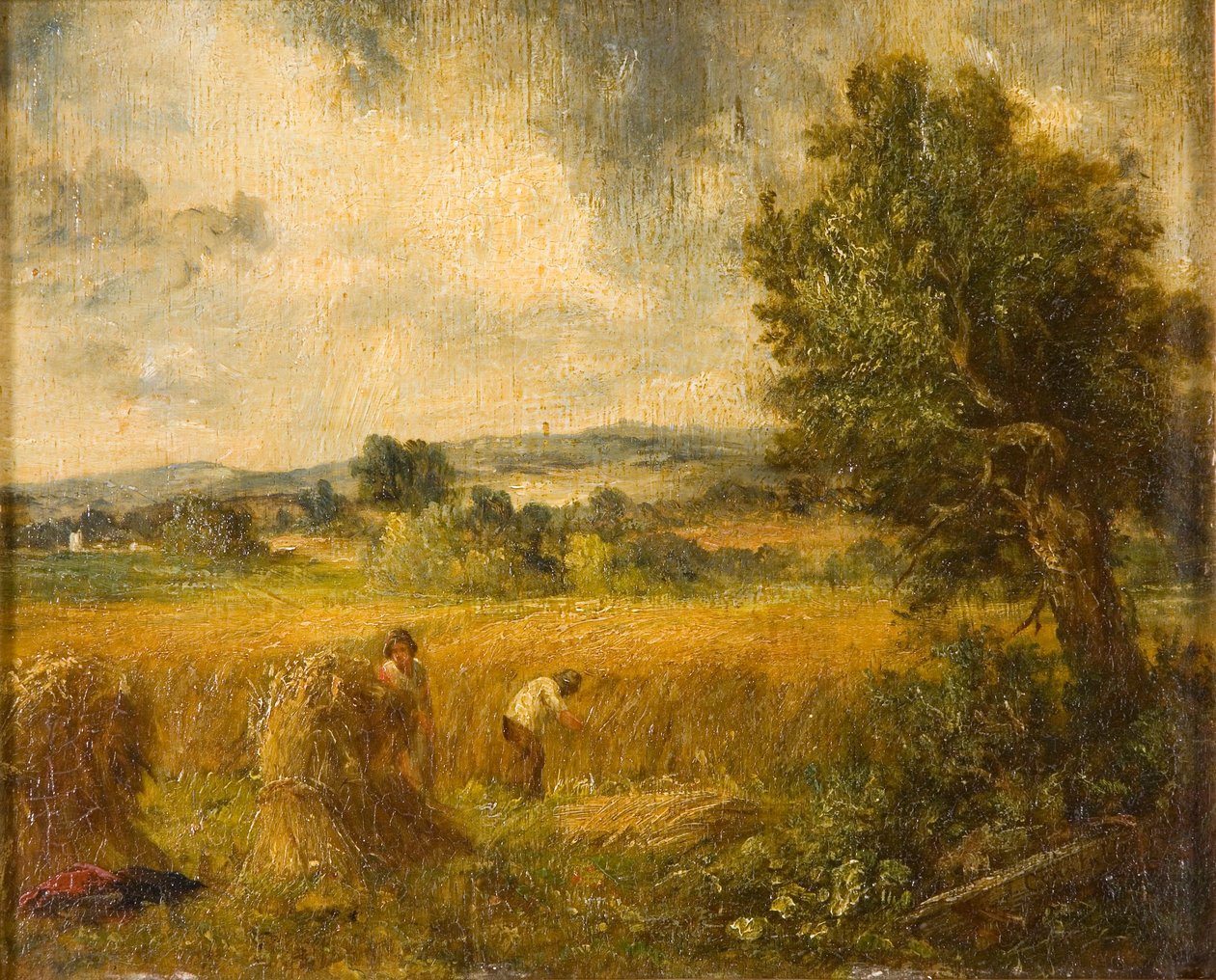 A Cornfield by John Constable