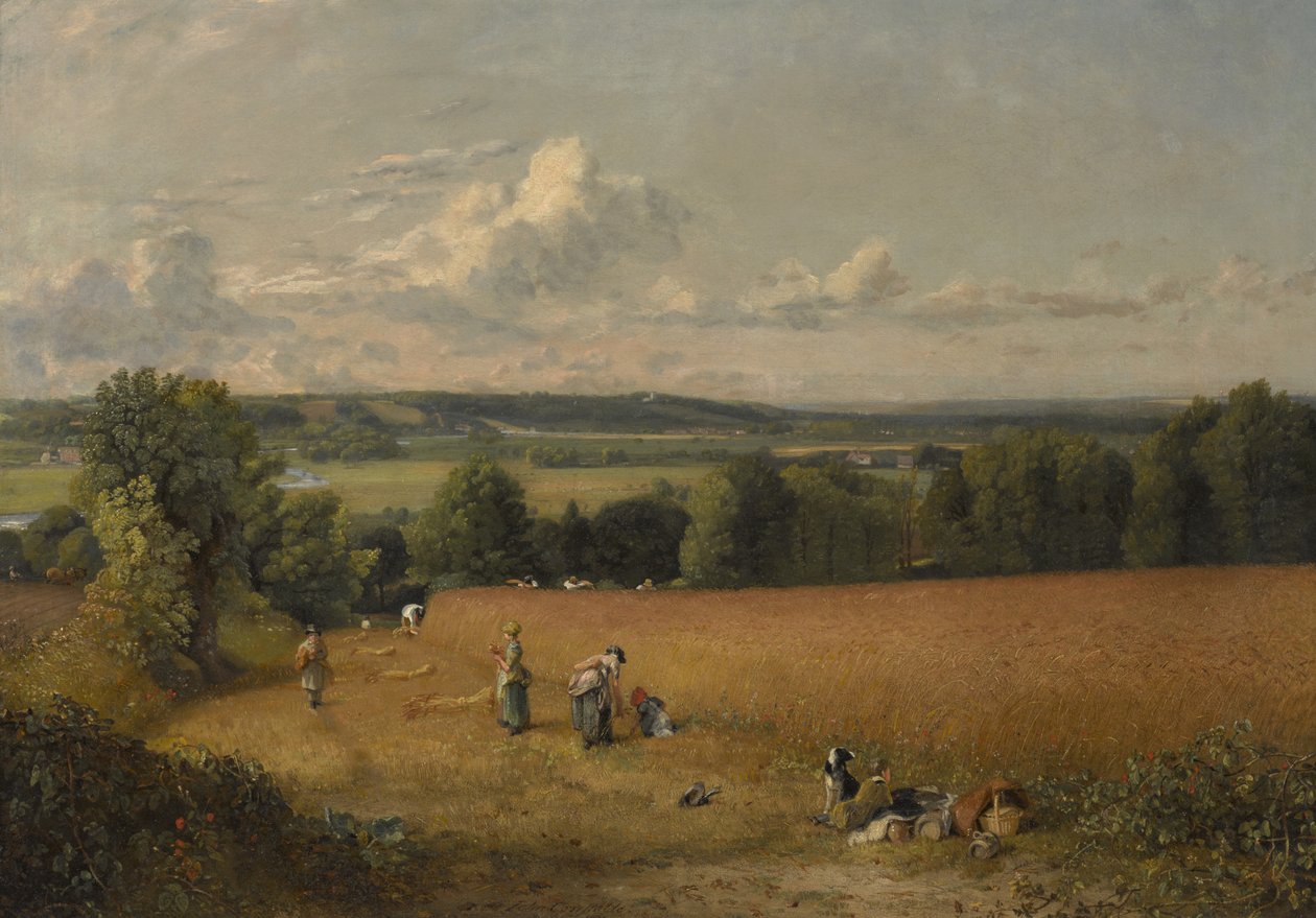 The Wheat Field by John Constable