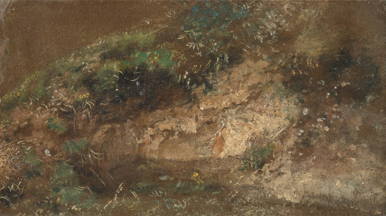 Undergrowth by John Constable