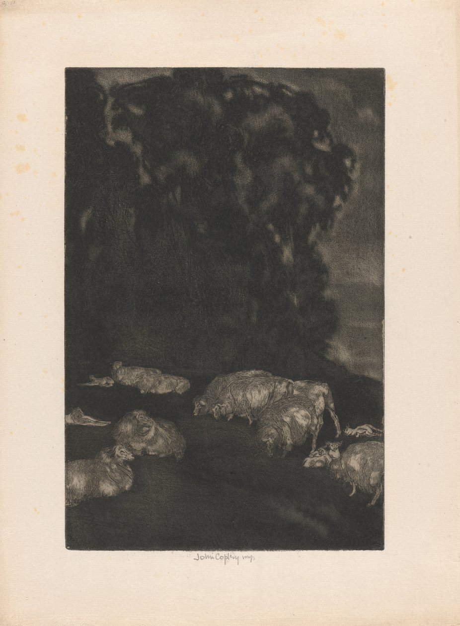 Sheep in Twilight by John Copley