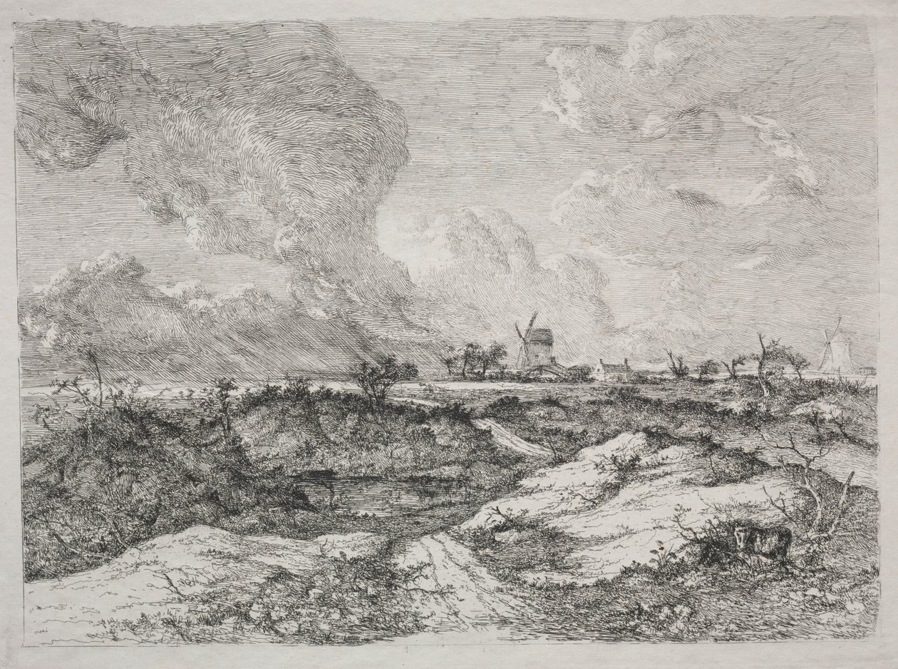 Mousehold Heath by John Crome