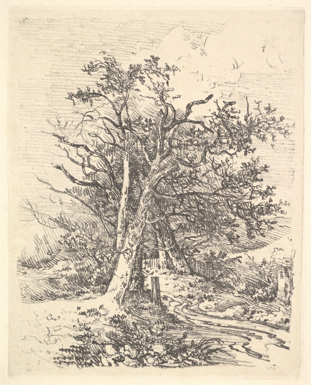 Tree Trunks and Lane by John Crome